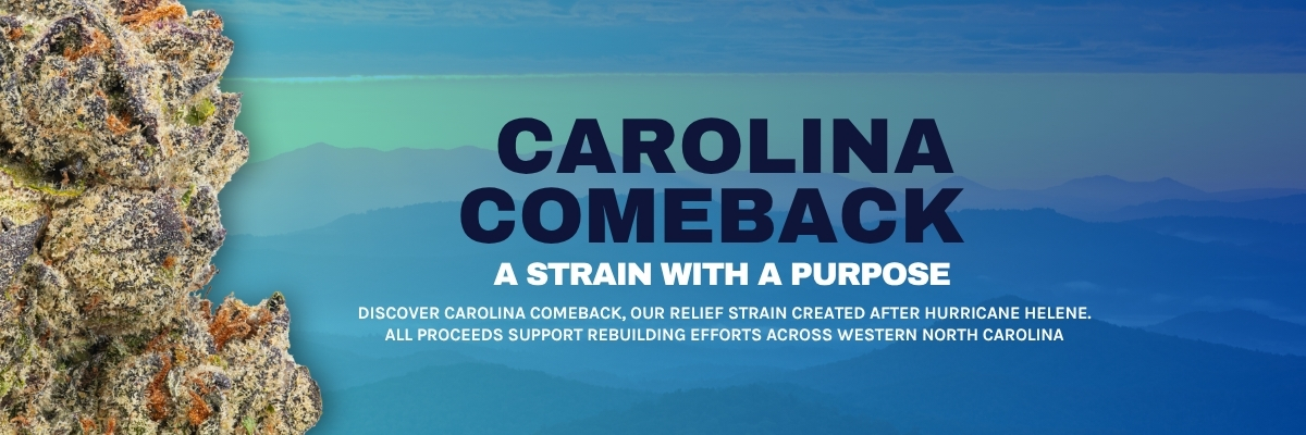 Discover Carolina Comeback, our relief strain created after Hurricane Helene. All proceeds support rebuilding efforts across Western North Carolina